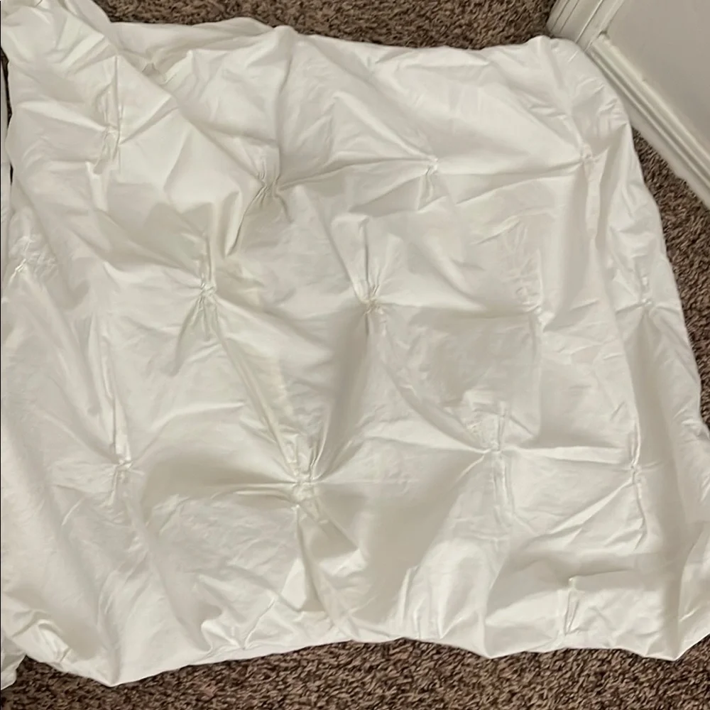 West Elm Organic Cotton Euro Shams